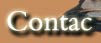 Contac us
