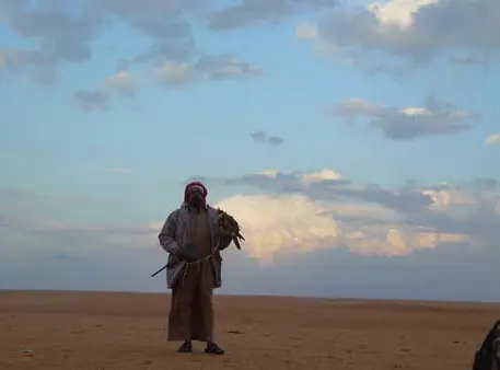 صقّار واقف في البر يحمل صقره تحت سماء فيها غيوم متفرقة