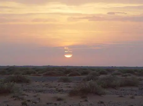 قرص الشمس يلامس الأفق فوق أرض فيها شجيرات