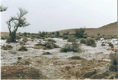 ماء السيل يجري في وادٍ وعلى جوانبه بقايا البرد